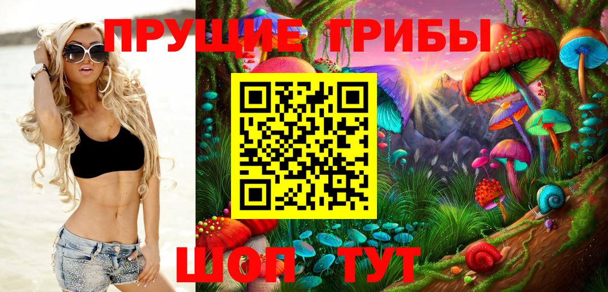 Псилоцибиновые грибы прущие грибы  Вход с VPN  Тихорецк 